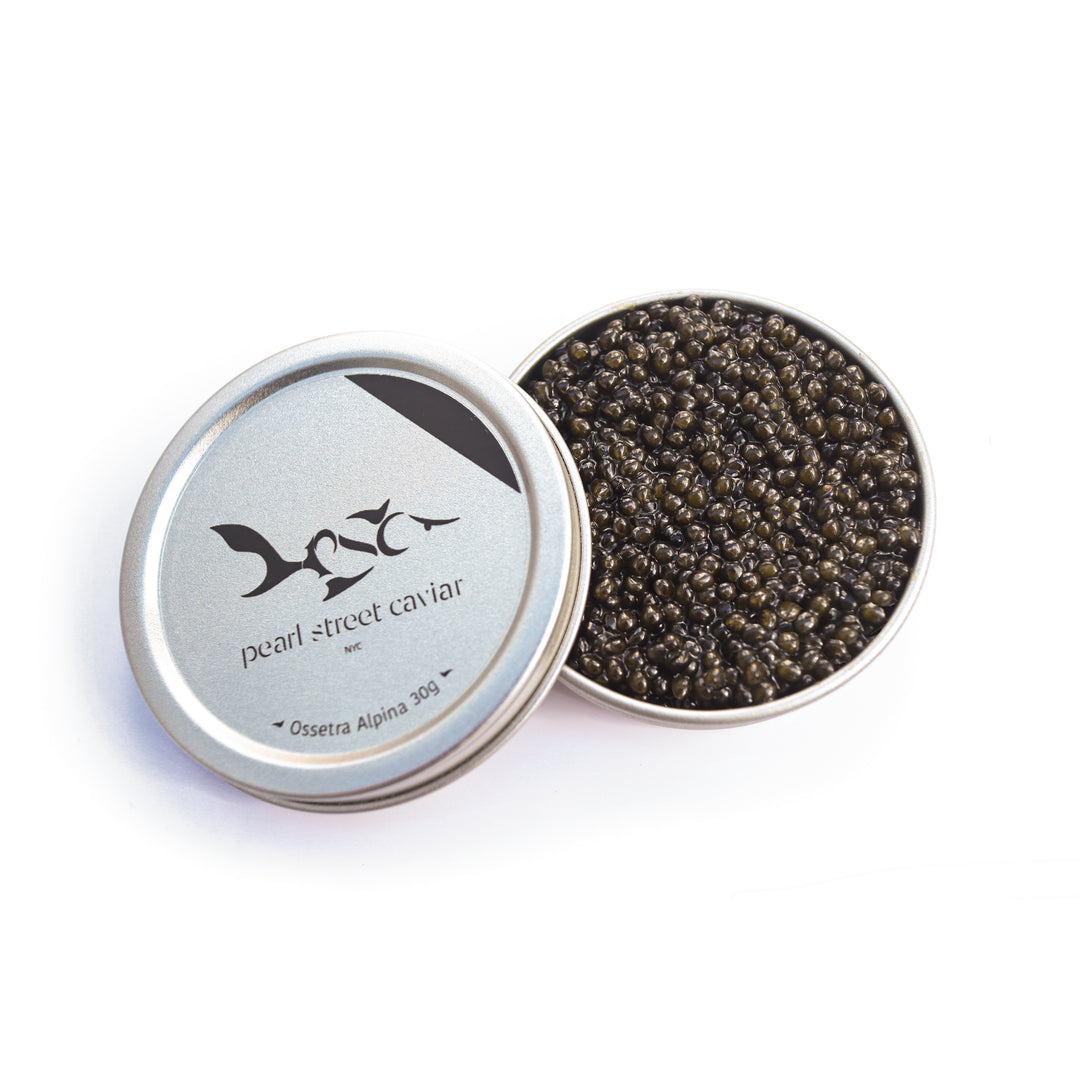 洋楽 S.T. Caviar Siberian (Baerii) Sturgeon Caviar | Paramount Caviar – PARAMOUNT