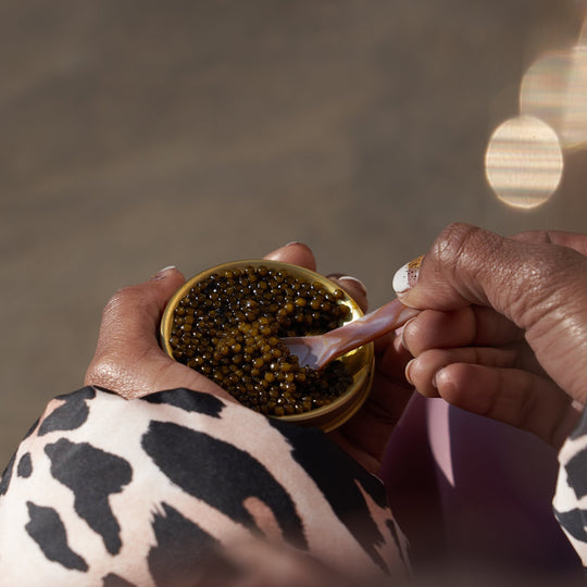 Buy Ossetra Caviar Online | Pearl Street Caviar